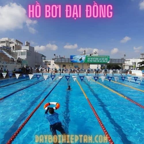 ho-boi-dai-dong