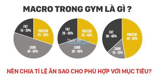 Giải đáp Macros là gì & các điều cần phải biết