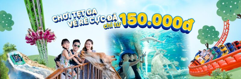 Tuyển Nhân Viên Cứu Hộ Bể Bơi Chuyên Nghiệp: Mô Tả Công Việc, Yêu Cầu Chuyên Môn Và Quyền Lợi Hấp Dẫn