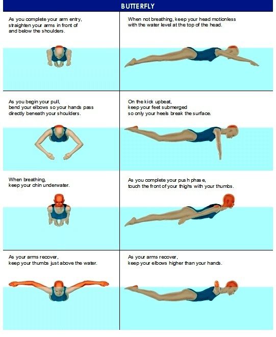 Kỹ Thuật Bơi Bướm Chuẩn: Hướng Dẫn Chi Tiết Chuyển Động Sóng Thân Và Phối Hợp Toàn Diện