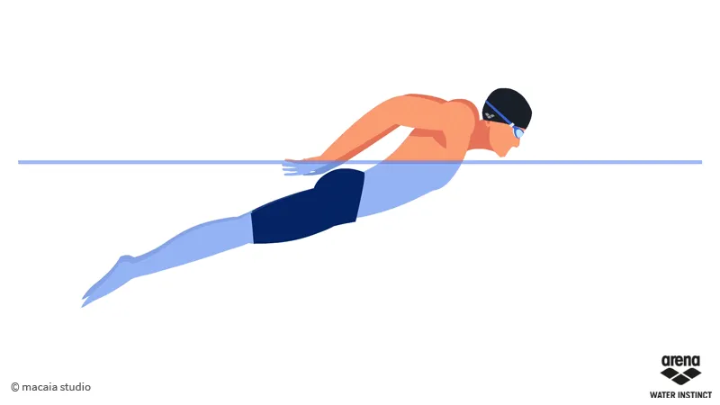 Phân tích chi tiết động tác quạt tay và đạp chân trong bơi bướm