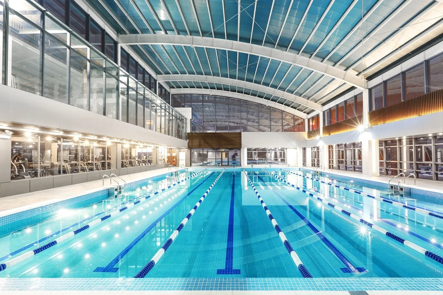 Lưu ý an toàn khi học bơi chó