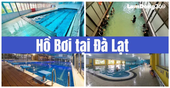 Hồ Bơi Phù Đổng Đà Lạt: Trải Nghiệm Bơi Lội Đẳng Cấp Giữa Lòng Thành Phố Ngàn Hoa 4 Hồ Bơi Phù Đổng Đà Lạt: Trải Nghiệm Bơi Lội Đẳng Cấp Giữa Lòng Thành Phố Ngàn Hoa