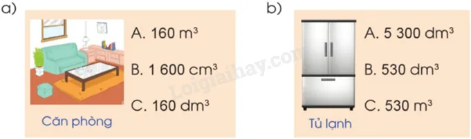 Ước lượng rồi lựa chọn số đo thể tích phù hợp