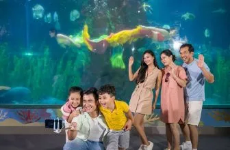 Thế giới đại dương kỳ ảo tại Thủy cung Vinpearl Aquarium