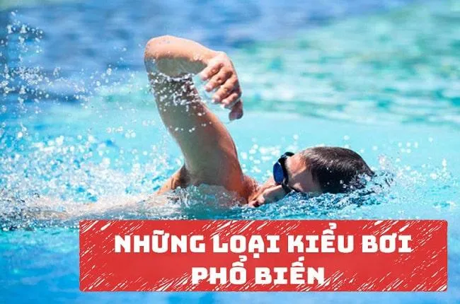 Tổng hợp tất cả các kiểu bơi lội hiện nay được yêu thích nhất