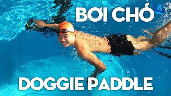 các kiểu bơi lội - bơi chó