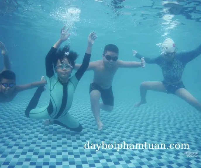 Hồ bơi tại trung tâm văn hóa Gò Vấp có diện tích rộng lớn và cơ sở mới hiện đại