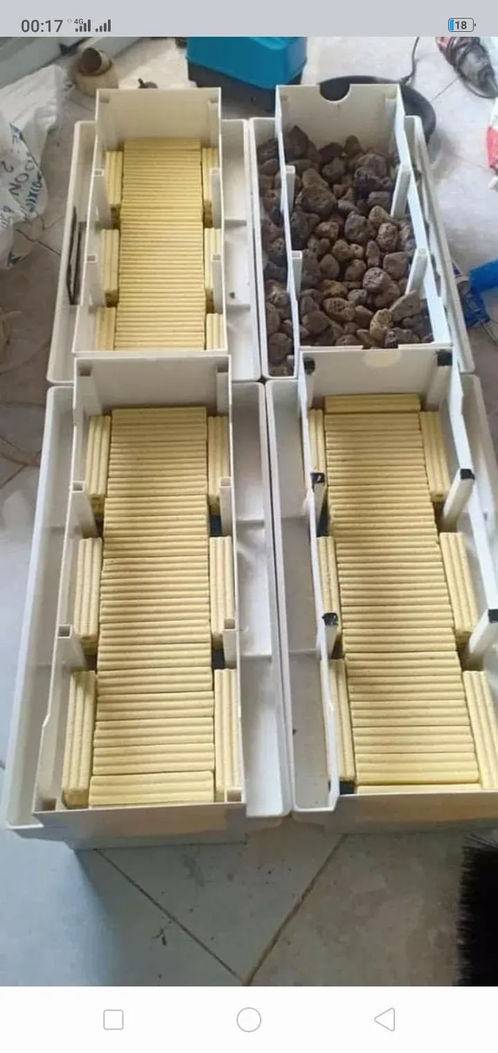 Các loại vật liệu lọc chuyên dụng cho hồ cá koi