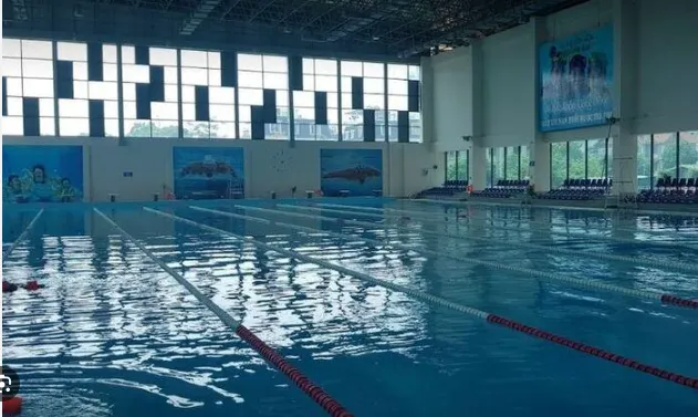 Khu vực bể bơi nhìn từ trên cao, cho thấy toàn cảnh không gian