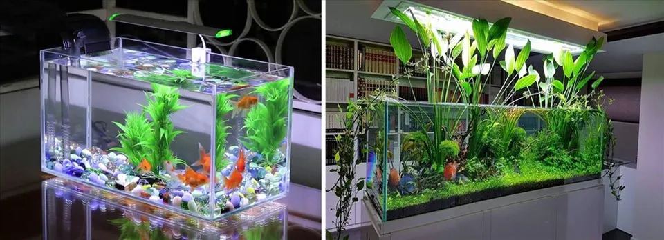 Hồ cá với ánh sáng hợp lý