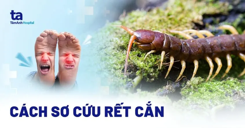 Vết rết cắn trên da người