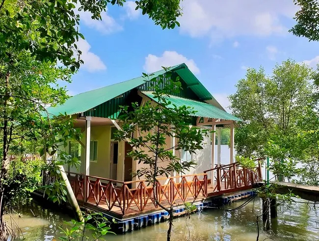 Nhà nổi trên sông giữa rừng Cần Giờ