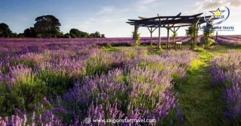 Check-in tại vườn hoa Vạn Thành