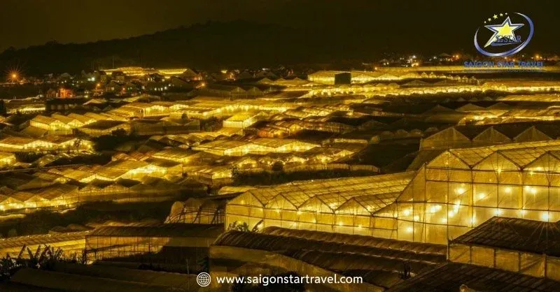 Vạn Thành về đêm