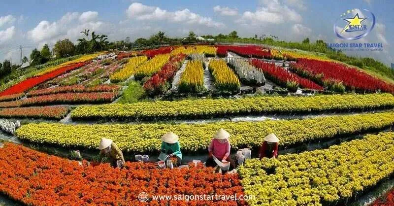 Ruộng hoa bậc thang tại Vạn Thành