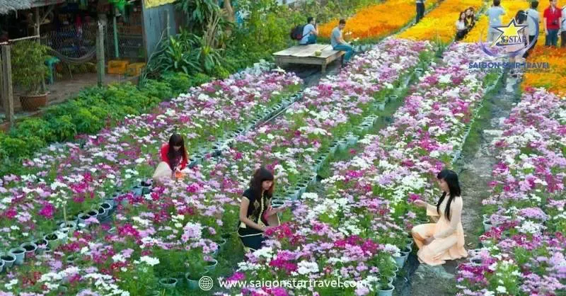 Làng hoa Vạn Thành 50 năm lịch sử trồng hoa