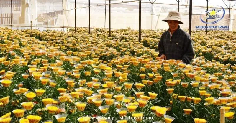 Vườn nông sản tại Vạn Thành