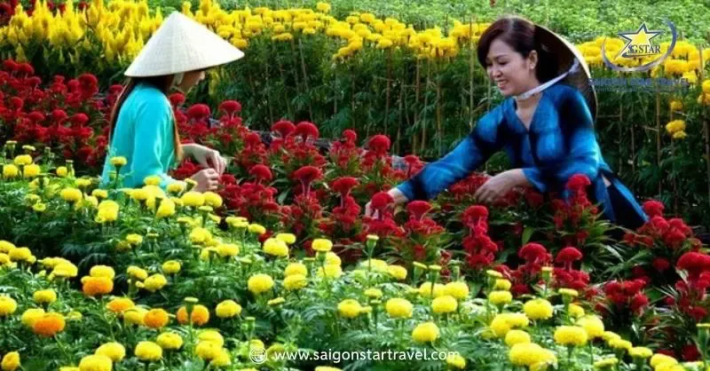 Trải nghiệm trồng hoa tại Vạn Thành