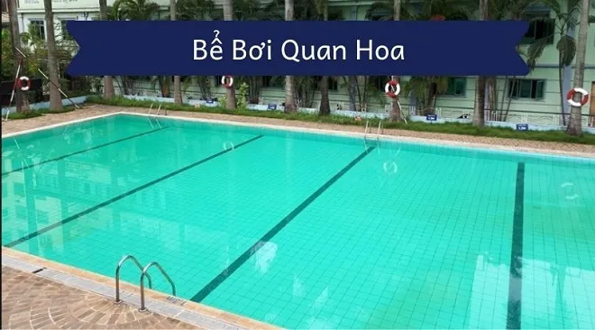 Không gian bể bơi Quan Hoa với hàng dừa xanh mát
