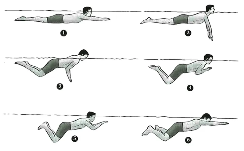 Sai lầm khi bơi ếch - Đầu chìm quá sâu