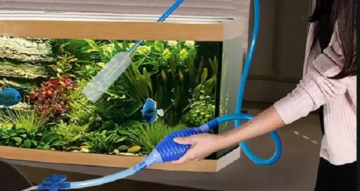 Thay nước hồ cá